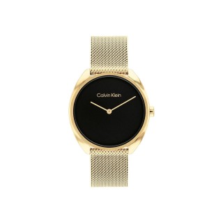 Herrenuhr Calvin Klein 25200271 Schwarz (Ø 34 mm)