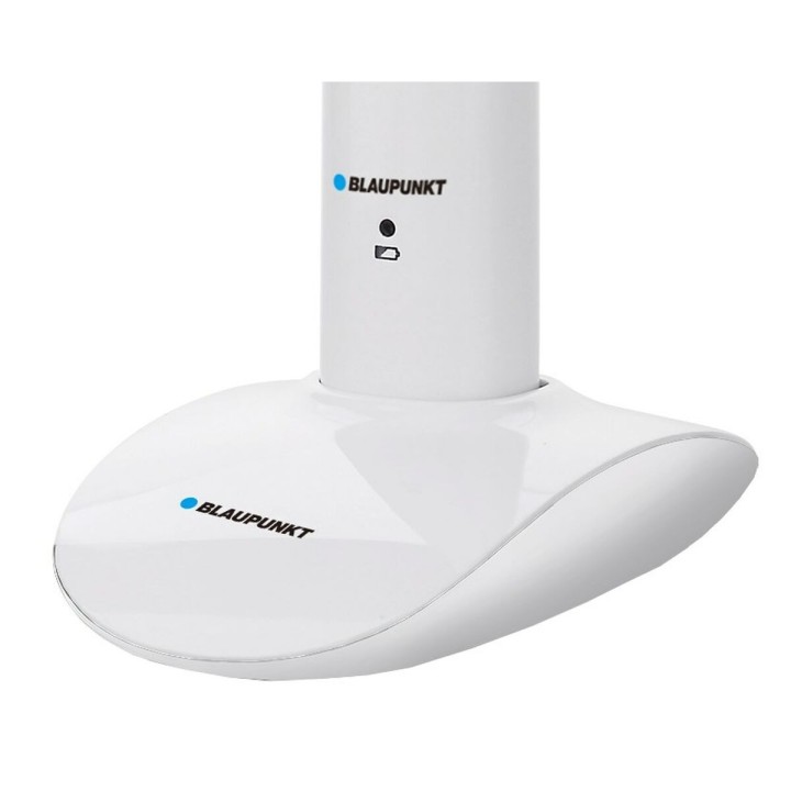 Spazzolino da Denti Elettrico Blaupunkt DTS601