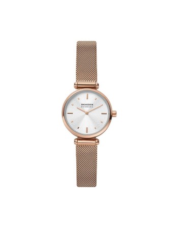 Ladies'Watch Skagen AMBERLINE (Ø 28 mm)