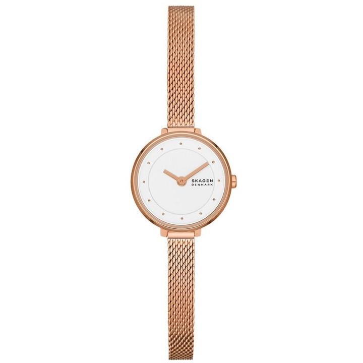 Orologio Donna Skagen GITTE LILLE (Ø 22 mm)