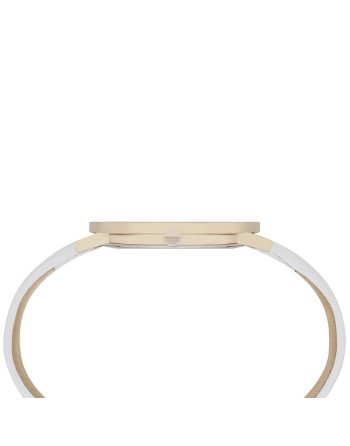 Reloj Mujer Pierre Cardin CBV-1012