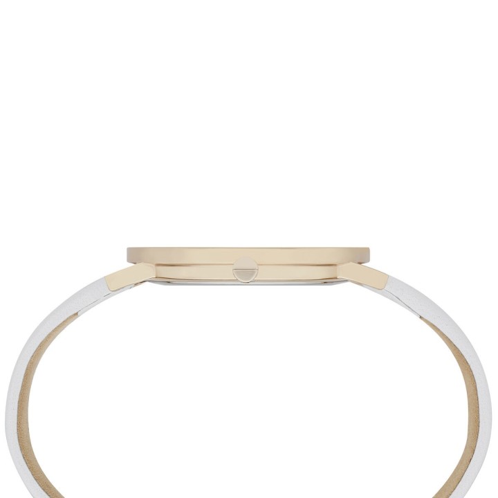 Dameur Pierre Cardin CBV-1012