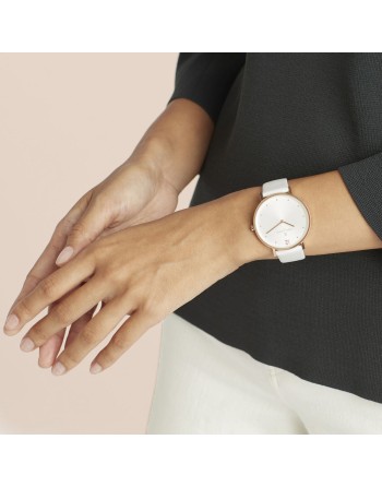 Reloj Mujer Pierre Cardin CBV-1012