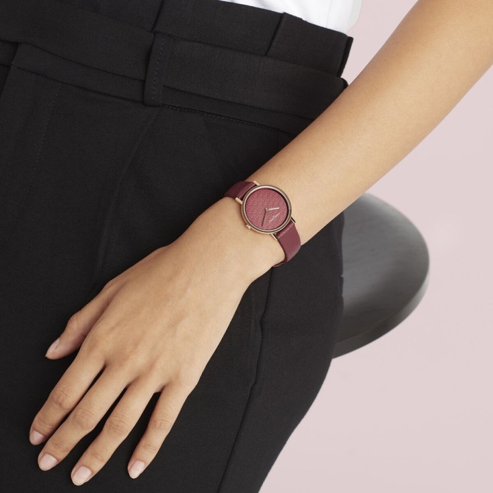 Dameur Pierre Cardin CBV-1506