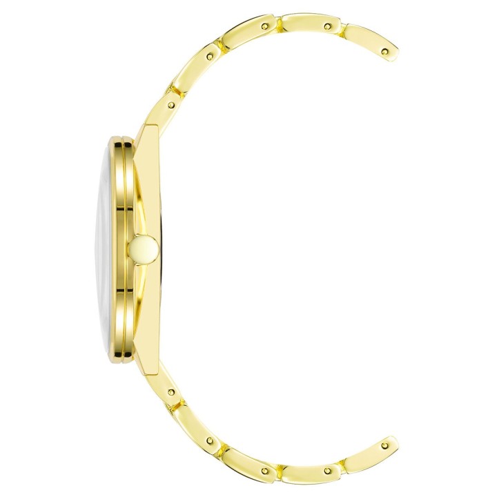 Ladies' Watch Nine West NW_2682CHGB