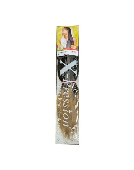 Hair extensions X-Pression Nº T2/27