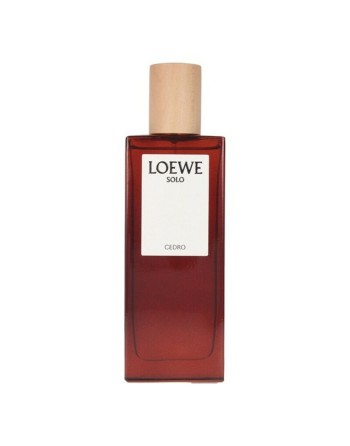 Men's Perfume Loewe EDT