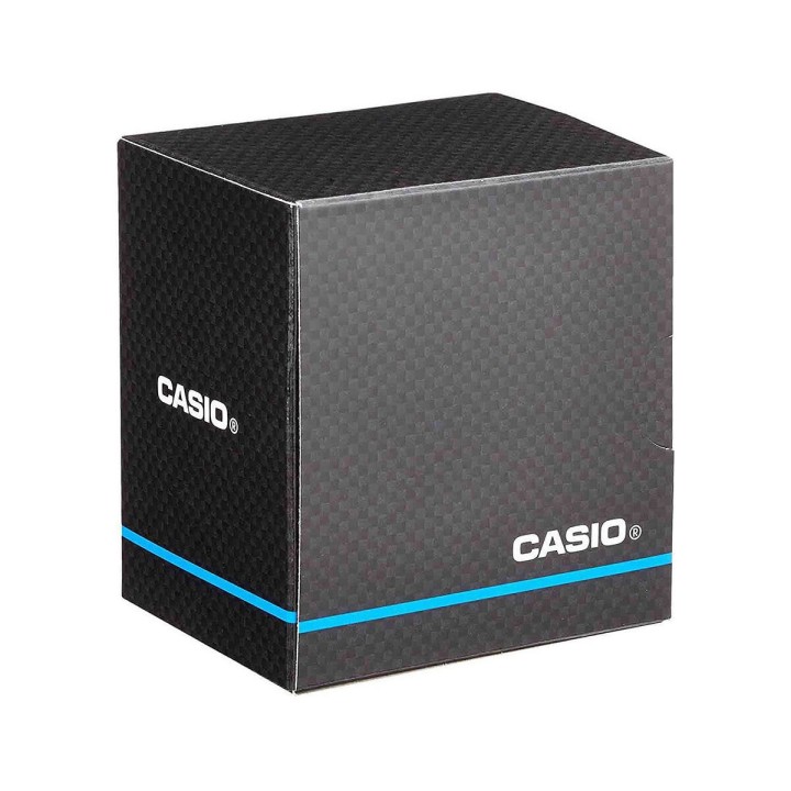 Herreur Casio WS-1500H-1AVEF