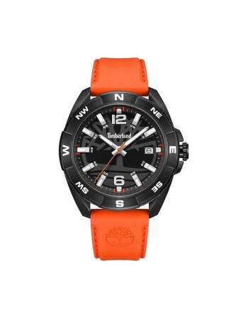 Men's Watch Timberland TDWGN2202103