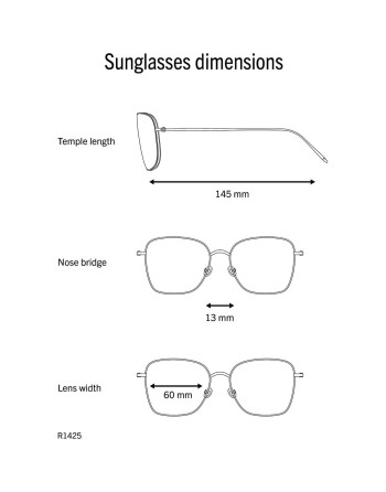 Gafas de Sol Hombre Rodenstock  R1425