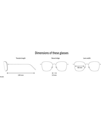 Gafas de Sol Hombre Rodenstock  R1425