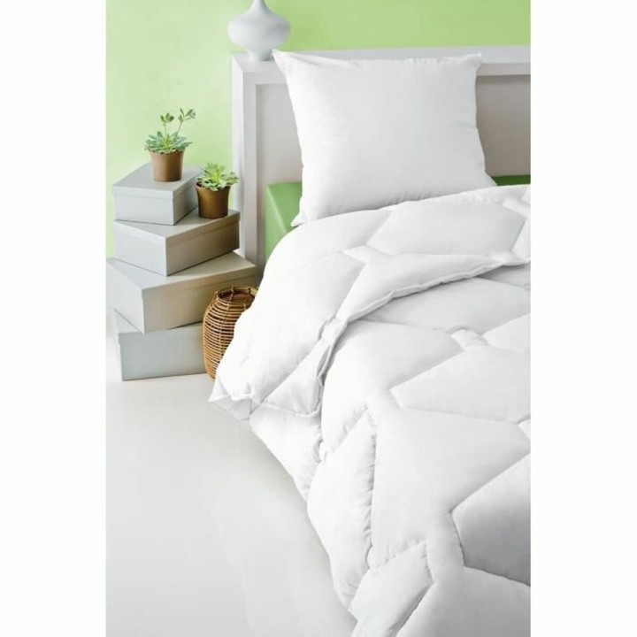 Set di 2 Cuscini Abeil 60 x 60 cm (2 Unità)