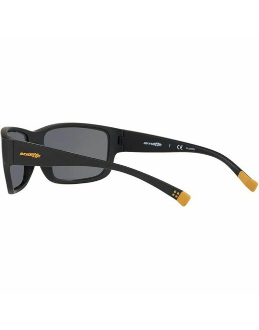 Unisex Sunglasses Arnette BUSHWICK AN 4256