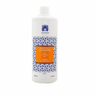 Champú Bassic Valquer 38218 (1000 ml)