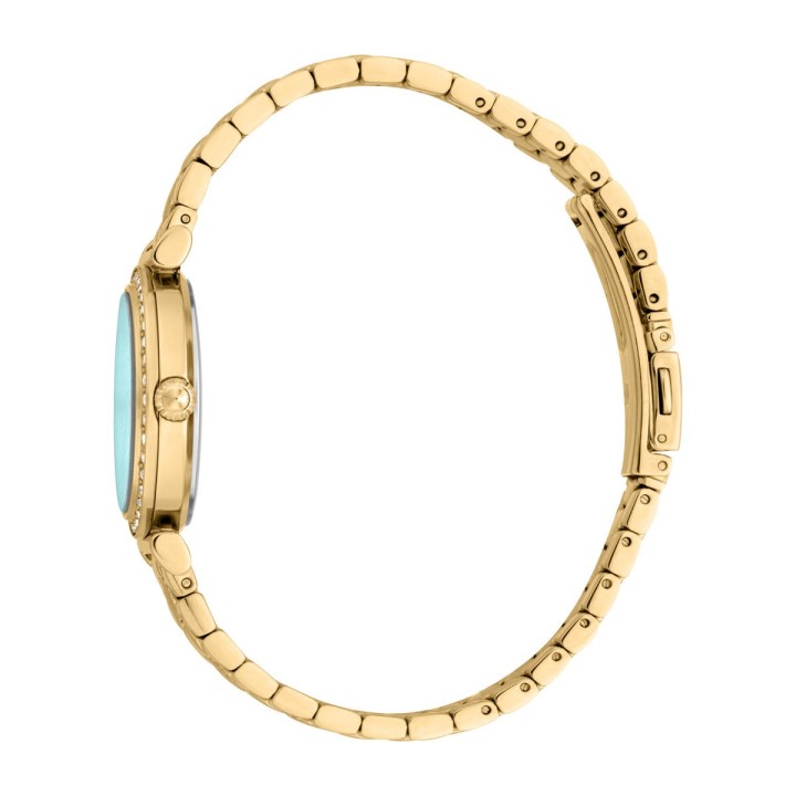 Reloj Mujer Just Cavalli VARENNA 2023-24 COLLECTION (Ø 30 mm)