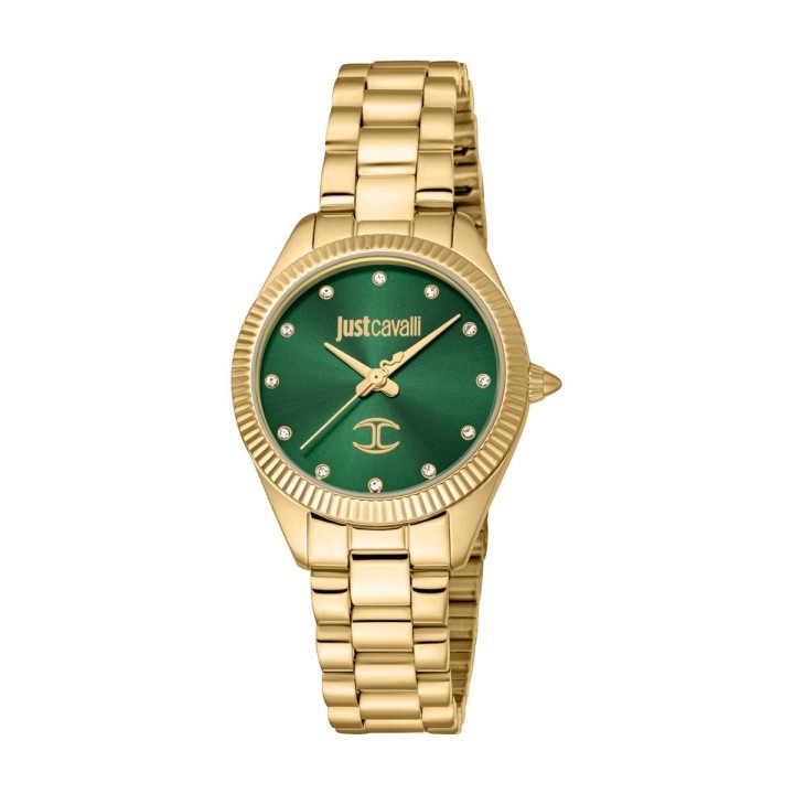 Reloj Mujer Just Cavalli PACENTRO 2023-24 COLLECTION (Ø 30 mm)