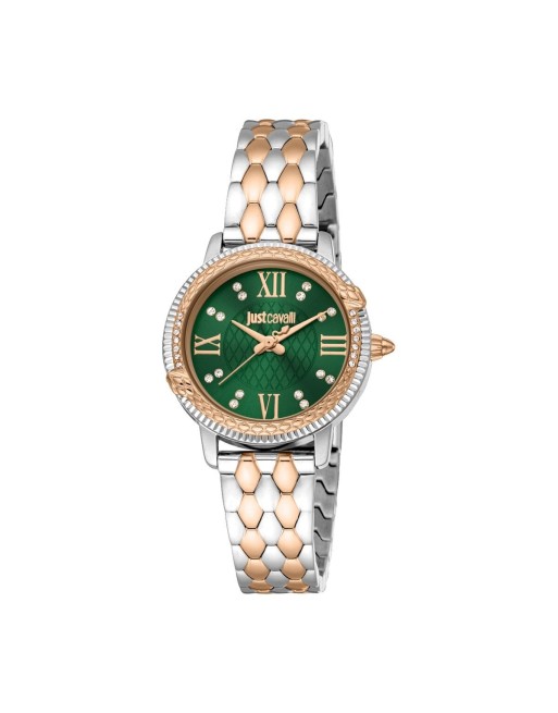 Reloj Mujer Just Cavalli FIDENZA 2023-24 COLLECTION (Ø 30 mm)
