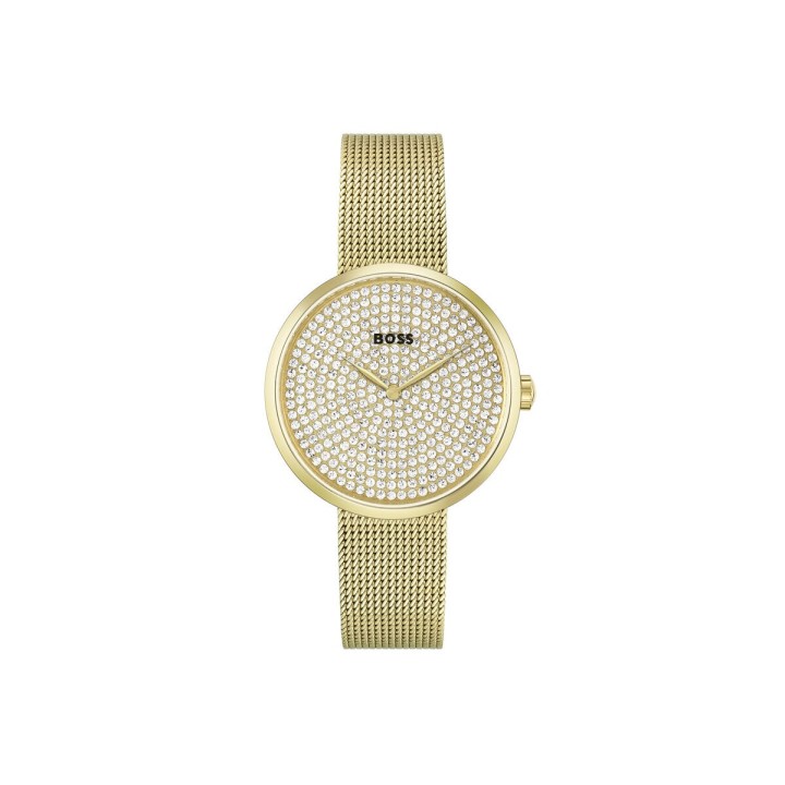 Dameur Hugo Boss 1502659 (Ø 36 mm)