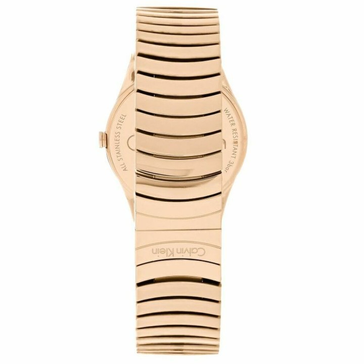 Orologio Donna Calvin Klein WHIRL (Ø 33 mm)