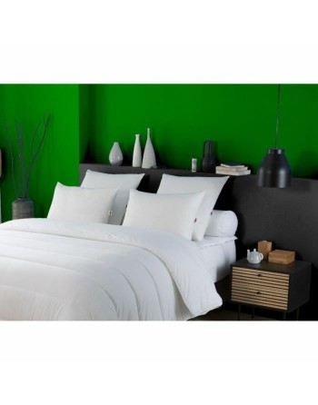 Oreiller DODO Blanc 50 x 70 cm Anti-acariens