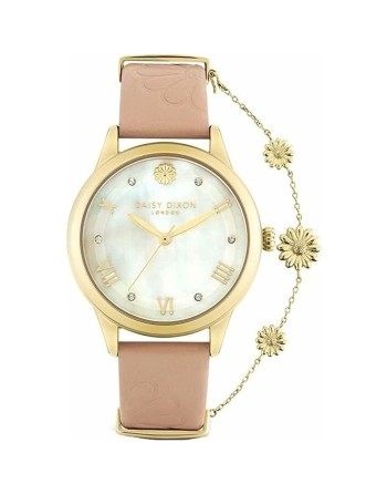 Reloj Mujer Daisy Dixon DD104PG (Ø 36 mm)