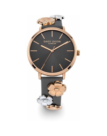 Reloj Mujer Daisy Dixon DD160ERG (Ø 38 mm)