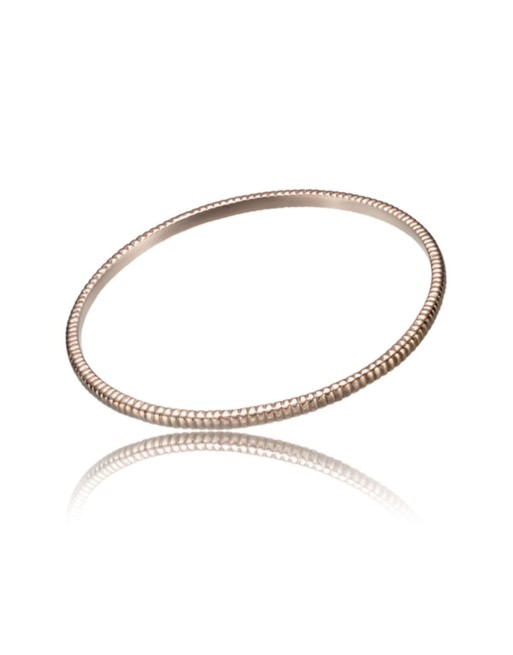 Armbånd til kvinder Time Force TS5124BR