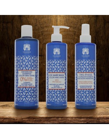 Haarmaske Valquer Válquer Premium 300 ml