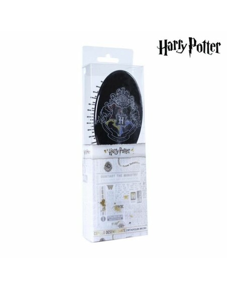Brosse à Cheveux Harry Potter CRD-2500001307 Noir