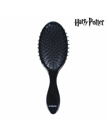 Brosse à Cheveux Harry Potter CRD-2500001307 Noir