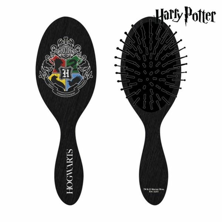 Hårstil Harry Potter CRD-2500001307 Sort