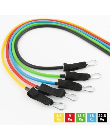 Set di Bande di Resistenza con Accessori e Manuale per gli Esercizi Rebainer InnovaGoods 5 Unità