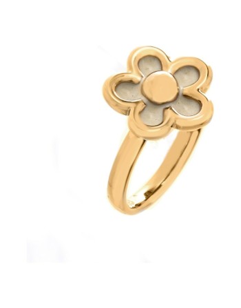 Bague Femme Folli Follie 3R1T017RW-54 (14)