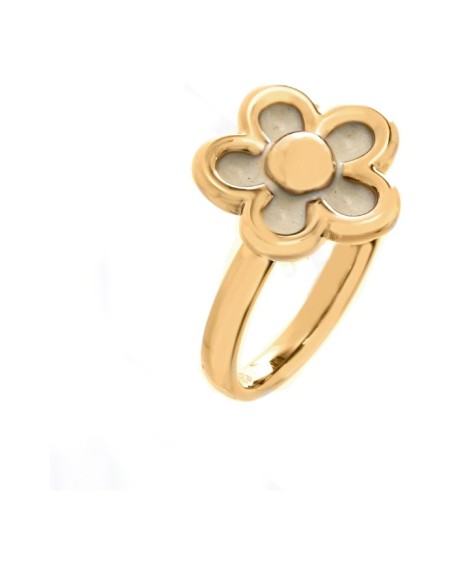 Ring til kvinder Folli Follie 3R1T017RW-54 (14)