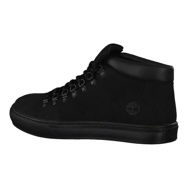 Bottes pour homme Timberland VD.2.0 ALPINE A10VL Noir