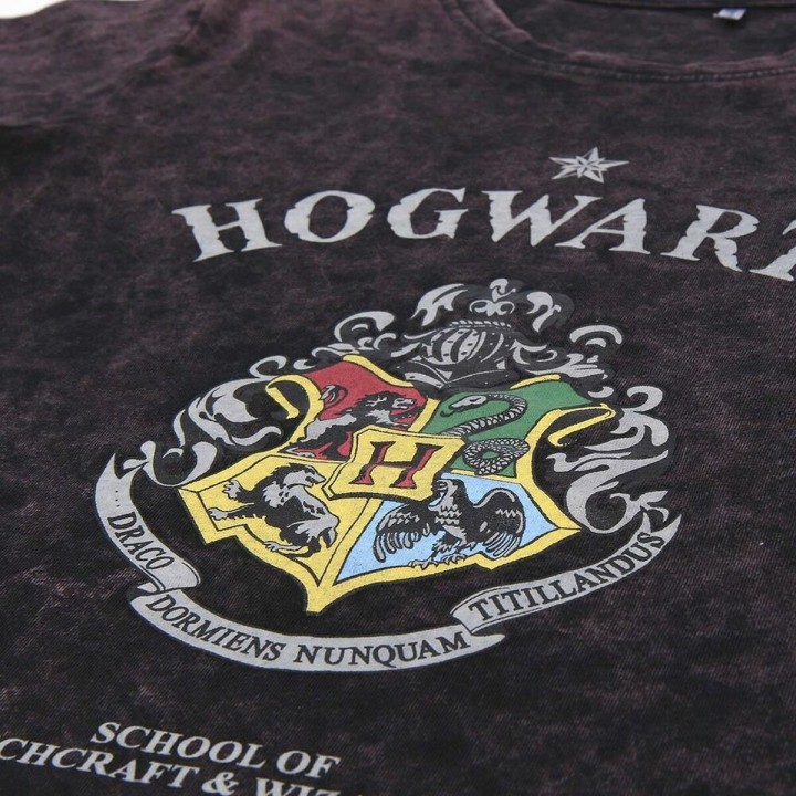 Kortærmet T-shirt til Mænd Harry Potter Grå Mørkegrå