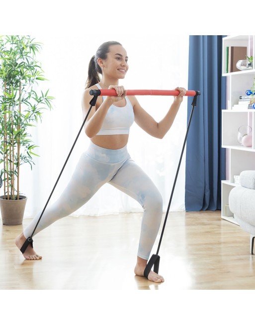 Barra de Fitness con Bandas Elásticas y Guía de Ejercicios Resibar InnovaGoods