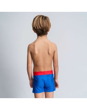 Boys Swim Shorts The Paw Patrol Blue