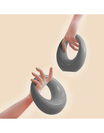 Kettlebell Xiaomi FED 11 Kg