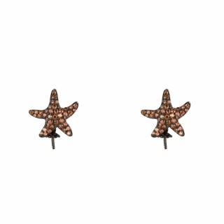 Øreringe til kvinder Lancaster JLA-EAR-STAR-4 1,2 cm