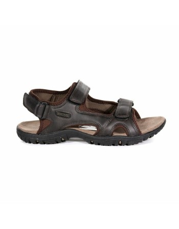 Men's Flip Flops Regatta Haris Brown