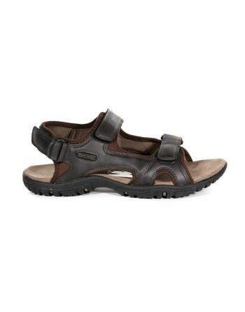 Men's Flip Flops Regatta Haris Brown