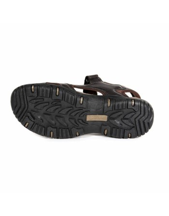 Tongs pour Homme Regatta Haris Marron