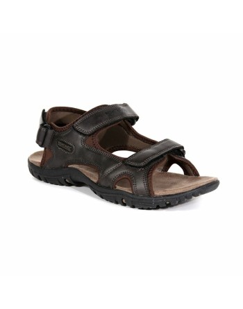 Men's Flip Flops Regatta Haris Brown