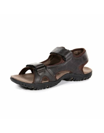 Men's Flip Flops Regatta Haris Brown