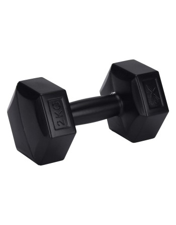 Hanteln XQ Max Schwarz 2 Kg 2 Stück