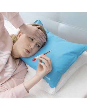 Coussin Rafraîchissant Remplissable Refrish InnovaGoods