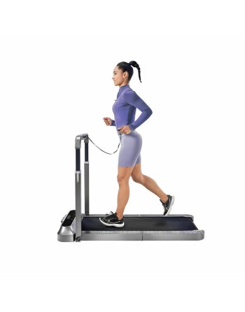 Cinta de Correr Xiaomi WALKINGPAD R2B KINGSMITH