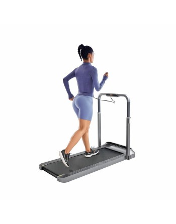 Tapis Roulant Xiaomi WALKINGPAD R2B KINGSMITH
