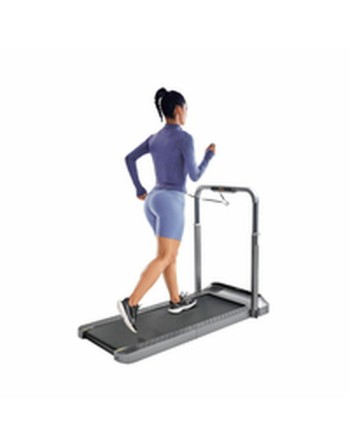 Tapis Roulant Xiaomi WALKINGPAD R2B KINGSMITH
